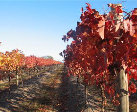 Moorngag VIC Accommodation NSW