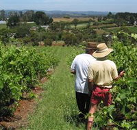 Sir Paz Estate - Accommodation NSW