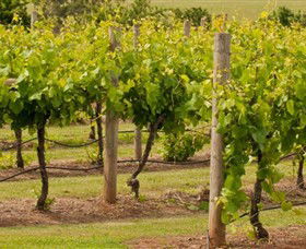 Coghills Creek VIC Accommodation NSW