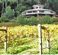 Peveril Vineyard/Beechy Berries - Accommodation NSW