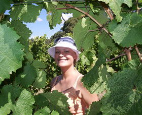 Harcourt Valley Vineyards - Accommodation NSW 5