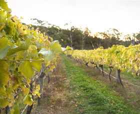 Harcourt Valley Vineyards - Accommodation NSW 0