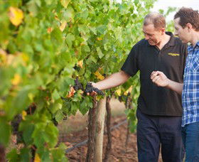 Fratin Brothers Vineyard - Accommodation NSW 0