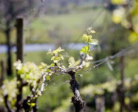 Avonmore ACT Accommodation NSW