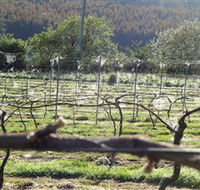 Three Willows Vineyard - Accommodation NSW