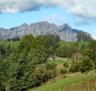 Lake Barrington Vineyard - Accommodation NSW