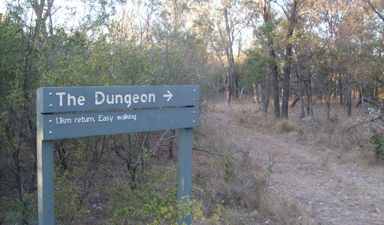 Ashford NSW Accommodation NSW