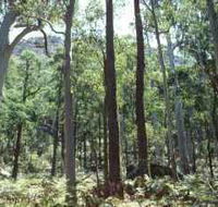 Cathedral Range State Park - Accommodation NSW
