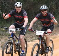Trailhead Bike Co. - Accommodation NSW