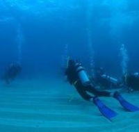 Man and Wife Rocks Dive Site - Accommodation NSW