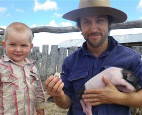 Gleneden Organic Farm And The Gleneden Bullock Team - Accommodation NSW 2