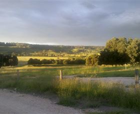 Gleneden Organic Farm And The Gleneden Bullock Team - Accommodation NSW 0