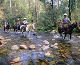 Howqua Hills Historic Area - Accommodation NSW 0