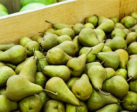 Dandenong Market - Accommodation NSW 1