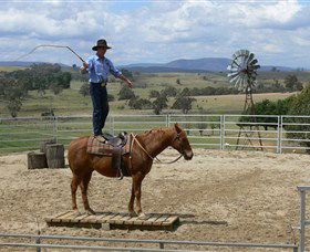 Boggy Creek Shows - Accommodation NSW 0