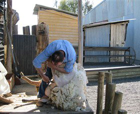 Boggy Creek Shows - Accommodation NSW 4