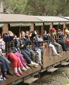 Puffing Billy Steam Railway - Accommodation NSW 1
