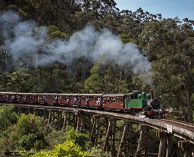 Puffing Billy Steam Railway - Accommodation NSW 0