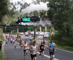 Puffing Billy Steam Railway - Accommodation NSW 7