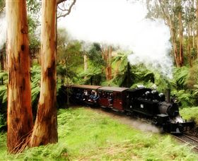 Puffing Billy Steam Railway - Accommodation NSW 5