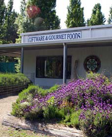 Crisp Galleries - Accommodation NSW 0