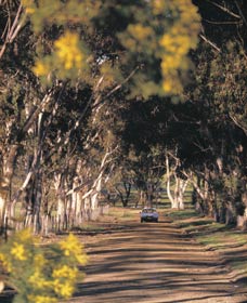 Albert Facey Heritage Trail - Accommodation NSW 0