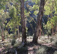 Mount Gray walking track - Accommodation NSW