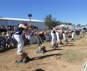 Quirindi Rural Heritage Village - Accommodation NSW 1