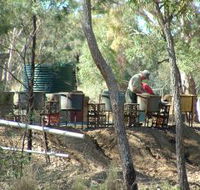 7 Oaks Sapphire Fossicking - Accommodation NSW
