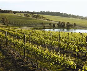 Yabby Lake Vineyard & Cellar Door - Accommodation NSW 7