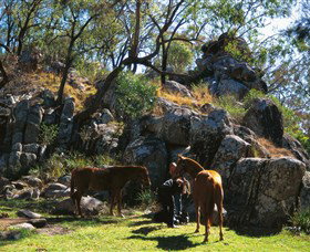 Coomba Falls - Accommodation NSW 0