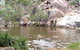 Coomba Falls - thumb 2