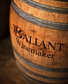 T'Gallant Winemakers - Accommodation NSW 0