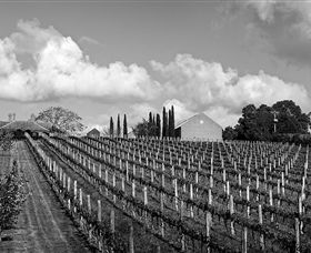 Willow Creek Vineyard - Accommodation NSW 0