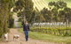 Willow Creek Vineyard - thumb 1