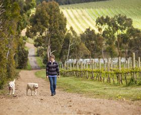 Willow Creek Vineyard - Accommodation NSW 1