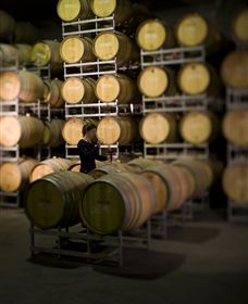 Willow Creek Vineyard - Accommodation NSW 2