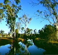 Dingo Creek Park - Accommodation NSW
