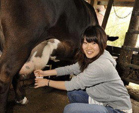 Warrook Farm - Accommodation NSW 2