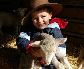 Warrook Farm - Accommodation NSW 1