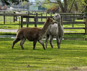 Warrook Farm - Accommodation NSW 6