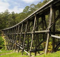 Noojee Trestle Bridge - Accommodation NSW