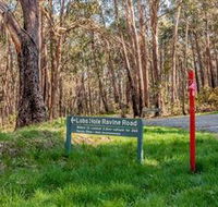 Lobs Hole Ravine 4WD Trail - Accommodation NSW