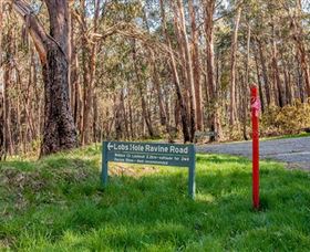 Lobs Hole Ravine 4WD Trail - Accommodation NSW 0