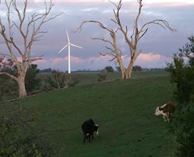 Crookwell Wind Farm - Accommodation NSW 1