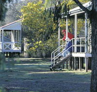 Dryandra Woodland - Accommodation NSW