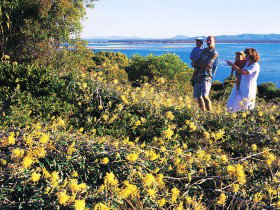 Joseph Banks Conservation Park - Accommodation NSW 0