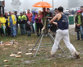 Lockyers Road Walking Track - Accommodation NSW 0