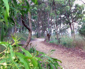 Mount Mutton Walking Trail - Accommodation NSW 0