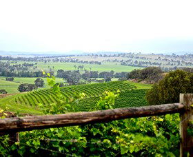 Hollydene Estate Wines And Vines Restaurant - Accommodation NSW 2